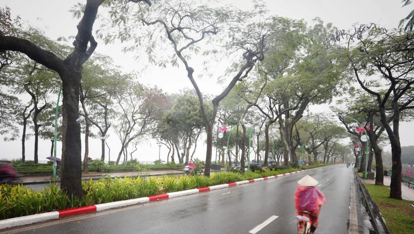 Thời tiết ng&agrave;y 6/2: Miền Bắc nhiều m&acirc;y, s&aacute;ng c&oacute; mưa ph&ugrave;n v&agrave; sương m&ugrave;